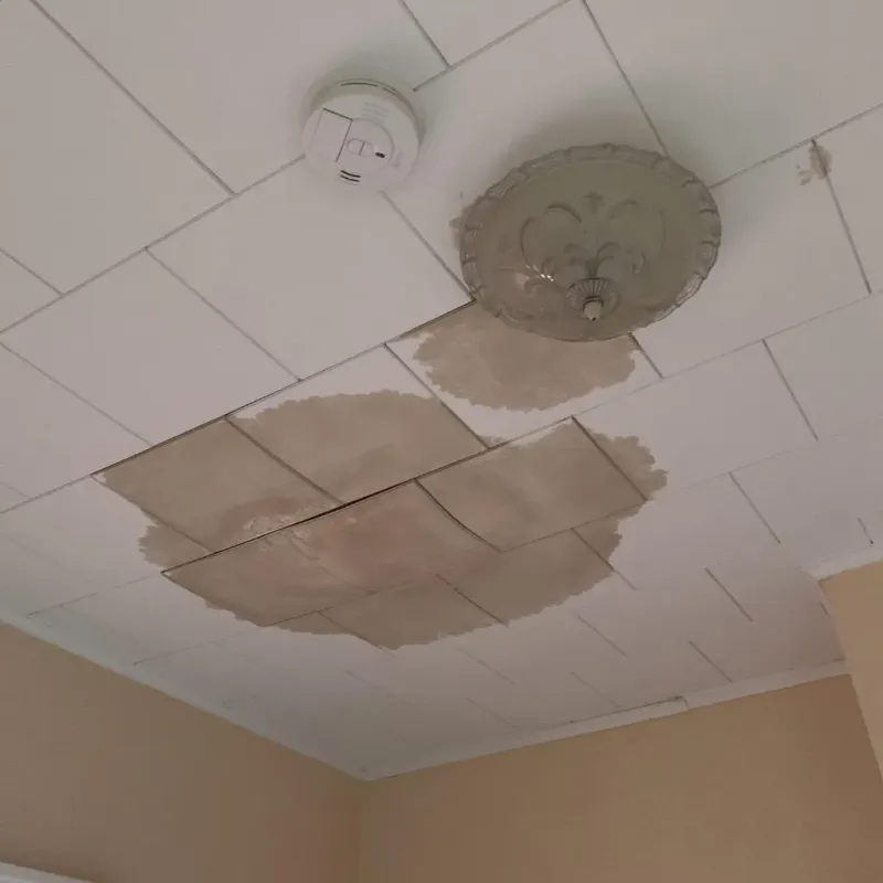 Ceiling Water Damage Repair in Appleton, ME