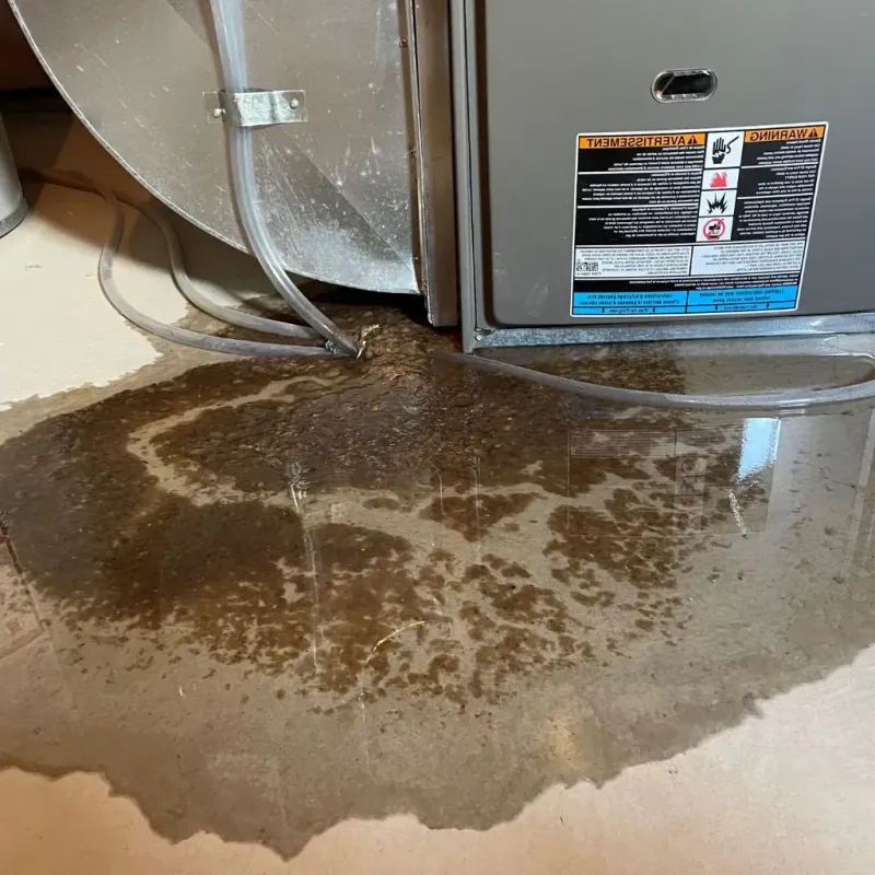 Pipe Burst and Leak Restoration in Appleton, ME